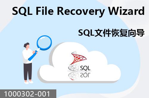 SQL文件恢复向导                               1000302-001
