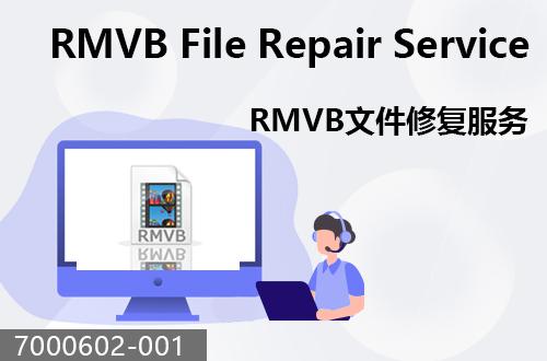 RMVB文件修复服务                                7000602-001