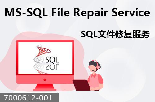 SQL文件恢复服务                                7000612-001