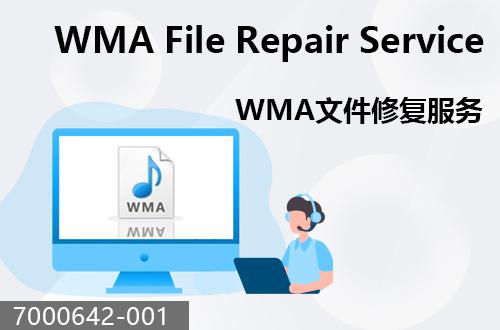 WMA文件恢复服务                                 7000642-001