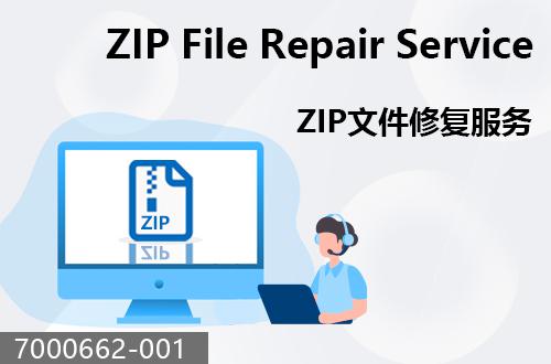 ZIP文件恢复服务                                7000662-001