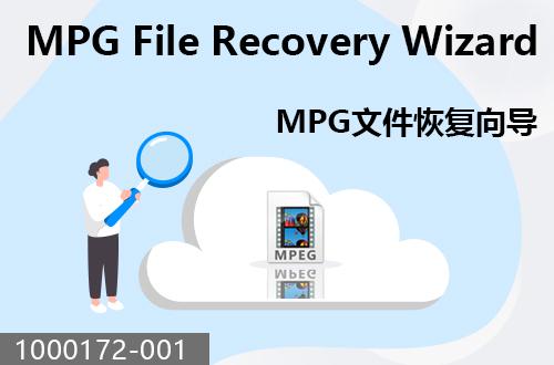 MPG文件恢复向导                               1000172-001