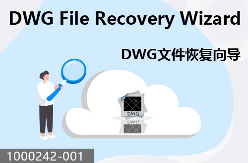 DWG文件恢复向导                               1000242-001