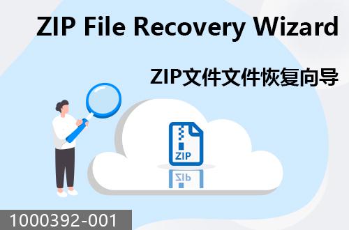 ZIP文件恢复向导                                1000392-001