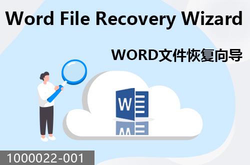 WORD文件恢复向导                                1000022-001